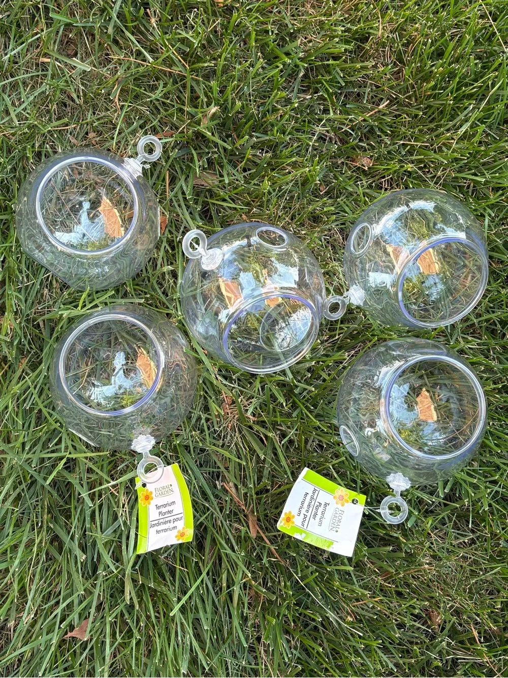 Clear Plastic Hanging Terrarium Ornaments - Set of 5